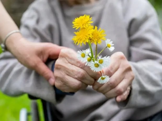 Elderly man receiving daisies